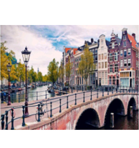 Картина алмазами 'Амстердам'