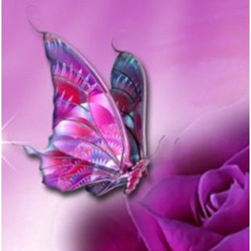 Картина алмазами 'Бабочка на розе' без рамки