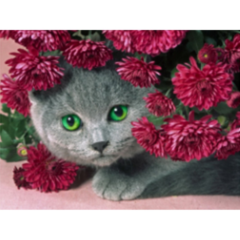 Картина на підрамнику алмазна мозаїка 'Сірий кіт в квітах'