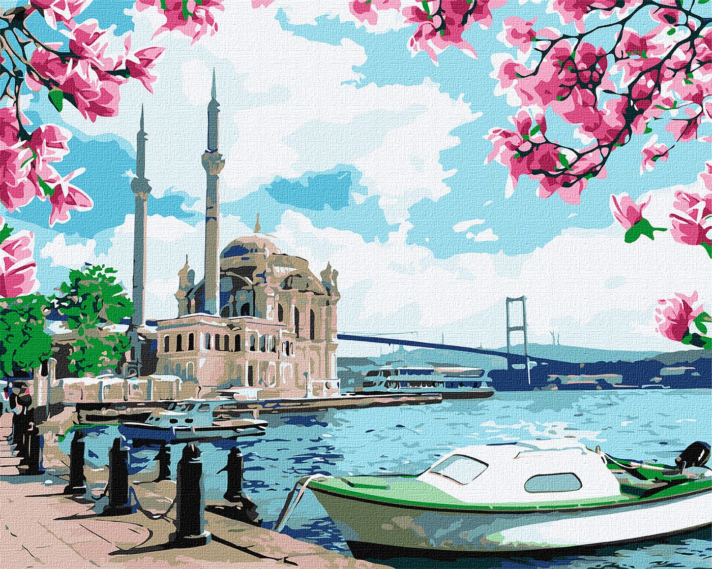 Картина по номерам 'Яркий Стамбул'