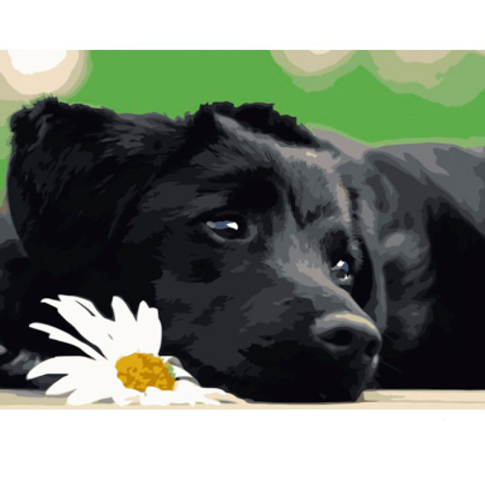 Картина-раскраска по номерам 'Черный щенок'