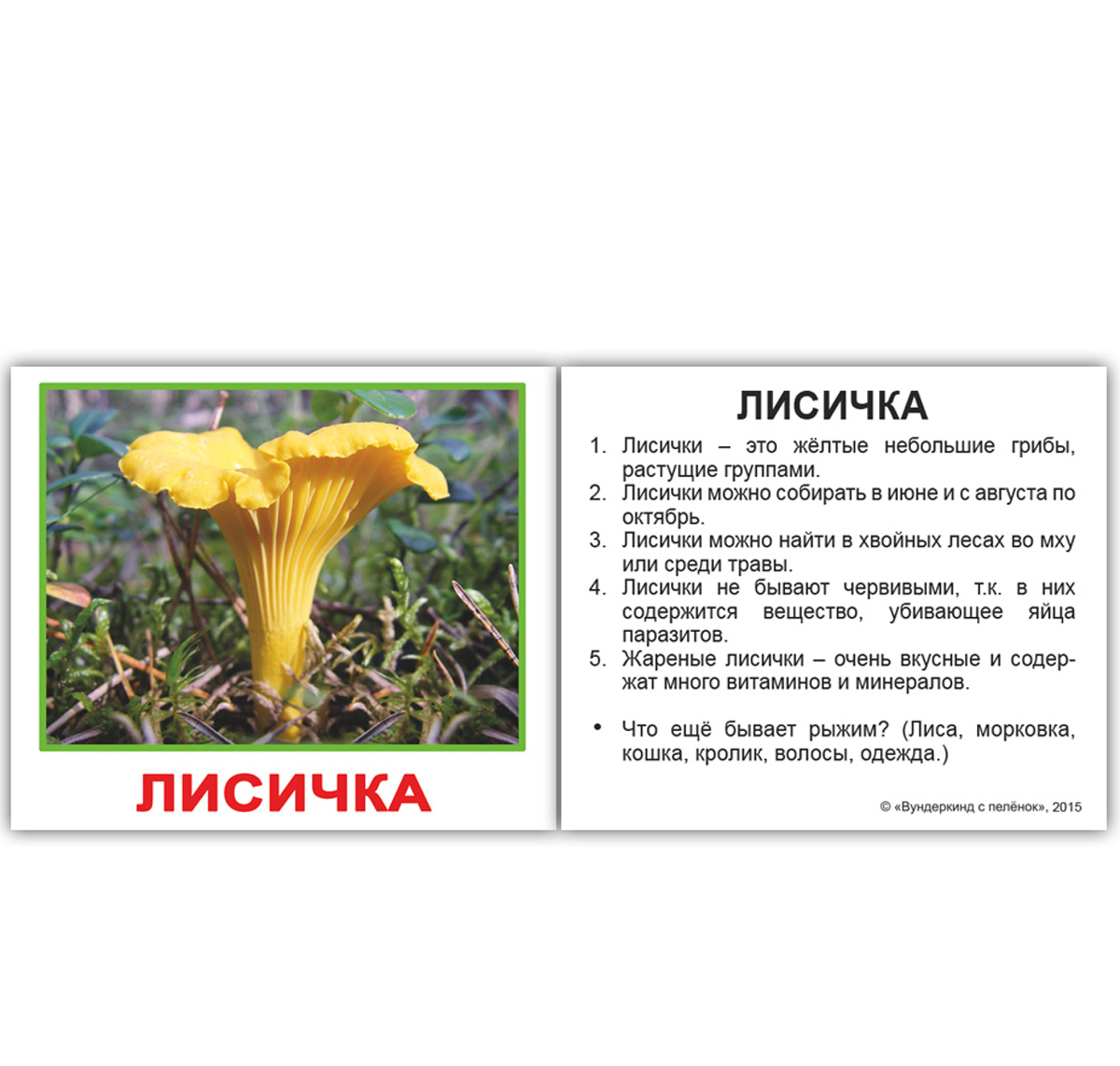 Картки Домана міні російські з фактами 'Гриби'