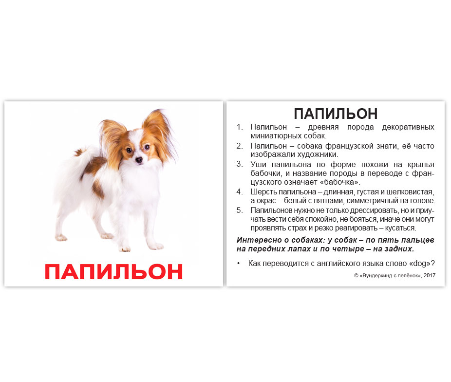Картки Домана міні російські з фактами 'Породи собак'