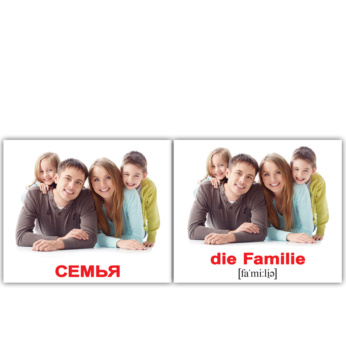 Карточки Домана мини русско-немецкие 'Семья/die Familie'