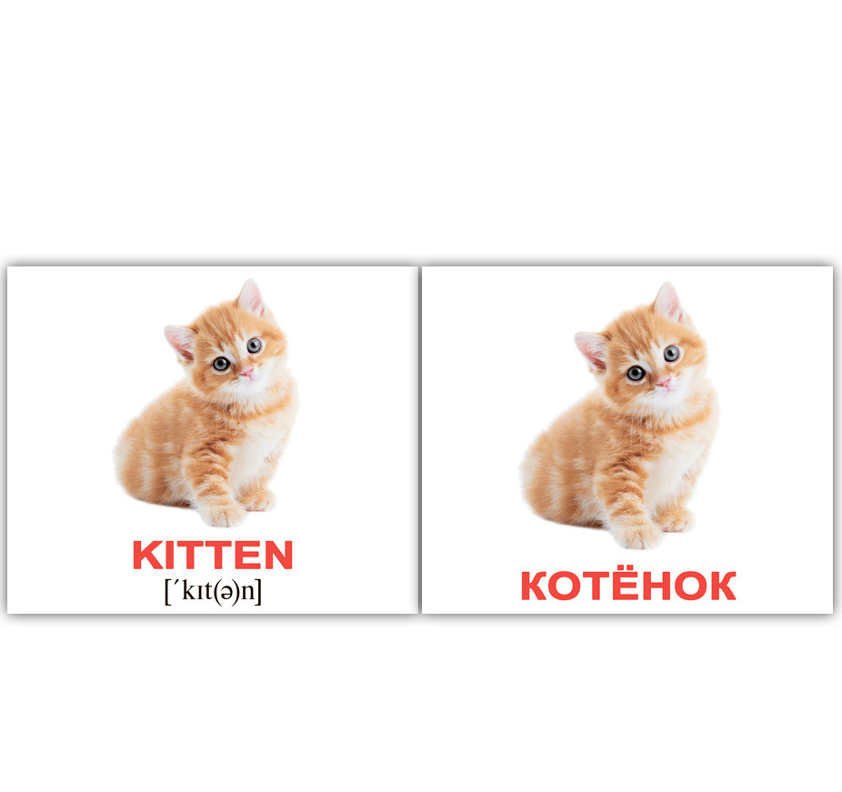 Картки міні російсько-англійські 'Домашні тварини / Domestic '