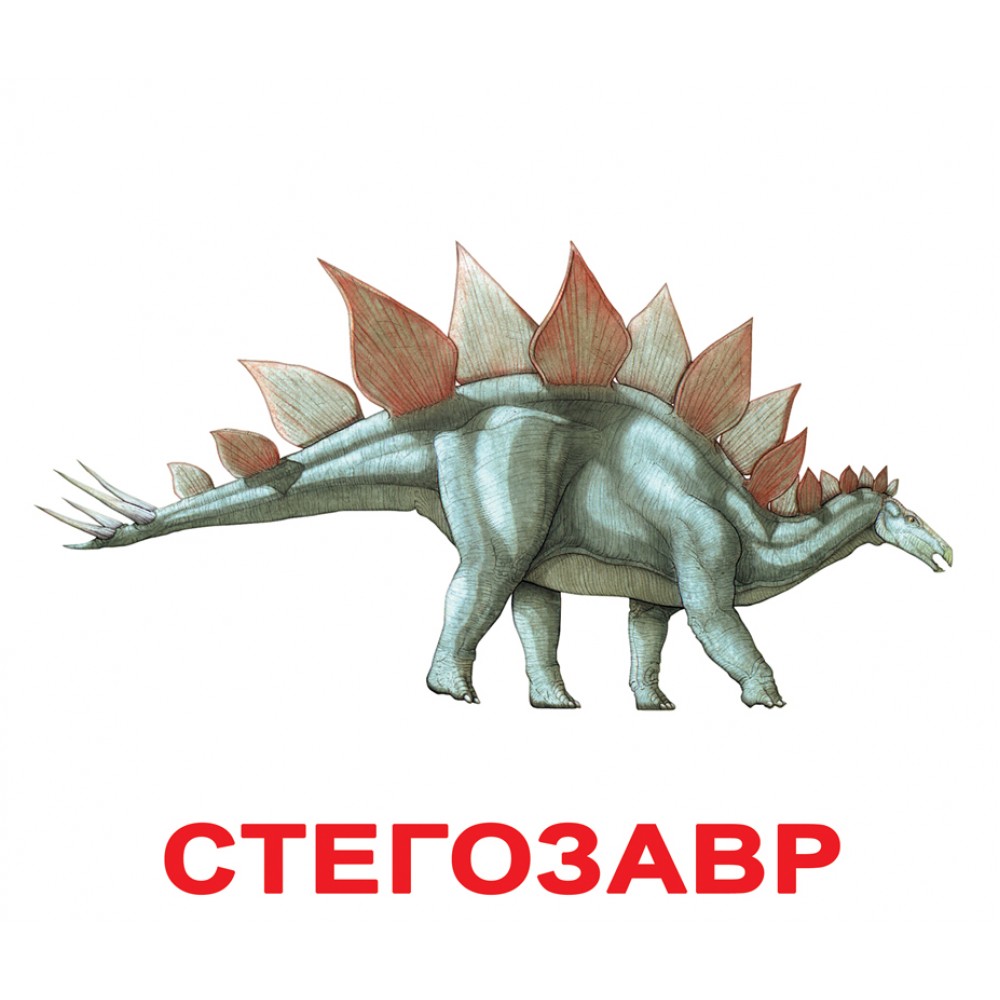 Картки великі українські з фактами «Динозаври» ламіновані