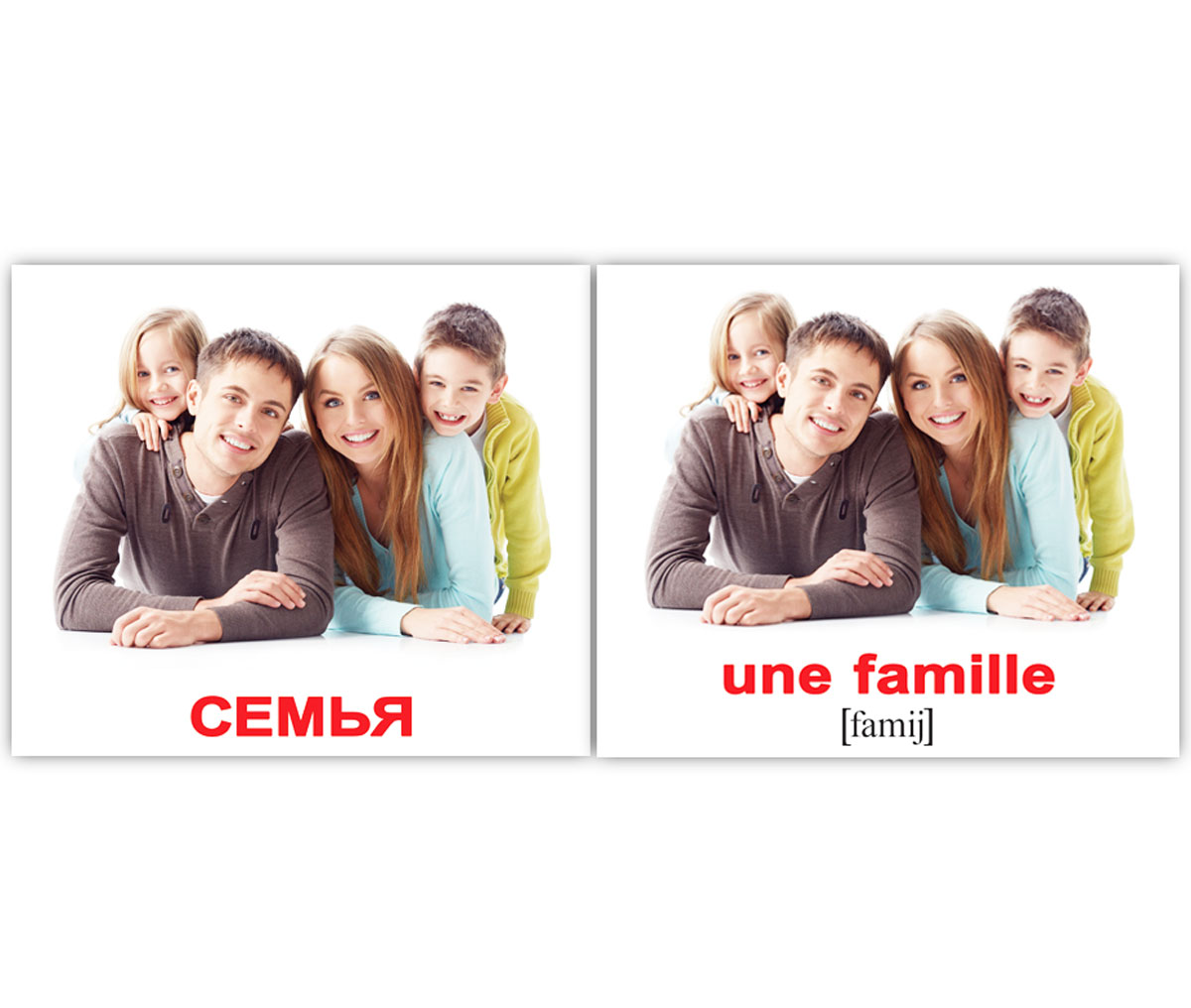 Карточки мини русско-французские 'Семья/La famille'