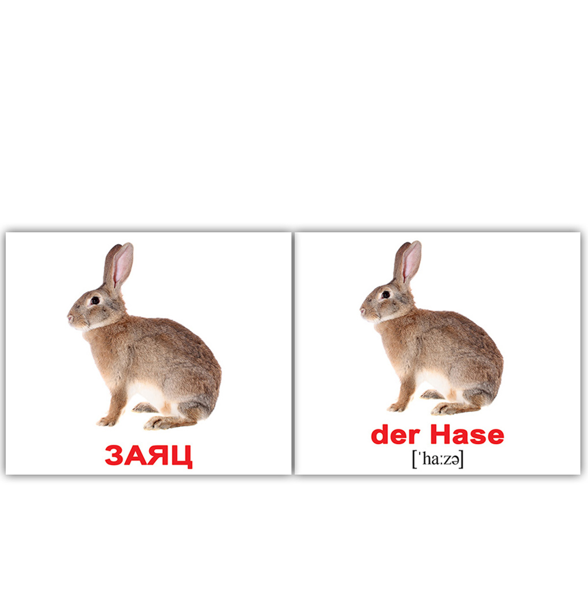 Картки міні російсько-німецькі 'Дикі тварини / Wildtiere'