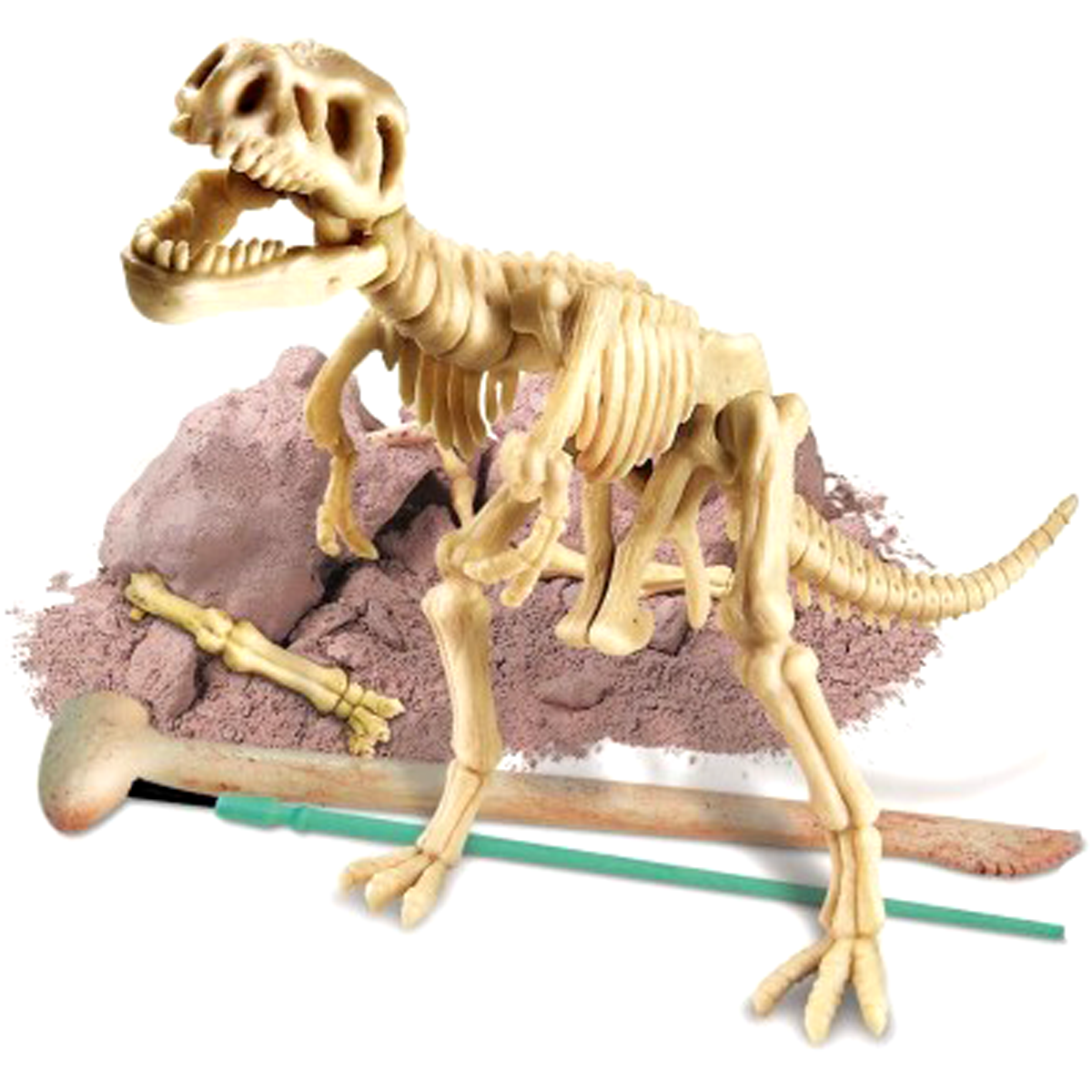 Научная игра раскопки 'Тиранозавр Рекс'