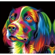 Алмазная мозаика "Цветная собака" без подрамника