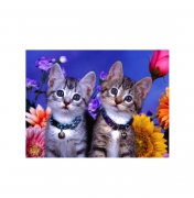 Картина "Два котенка" по номерам