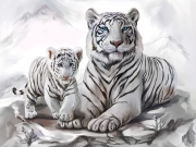 Картина алмазами "Белые тигры"