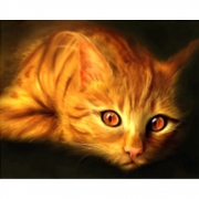Картина алмазами на подрамнике "Рыжий кот"