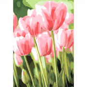 Картина на холсте по номерам "Весенние тюльпаны"