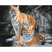 Картина по номерам "Дикие тигры"