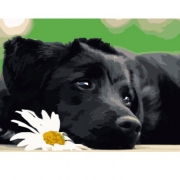 Картина-раскраска по номерам "Черный щенок"