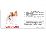 Картки Домана міні російські з фактами "Породи собак"