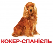 Картки українські ламіновані "Породи собак"