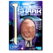 Научная игра раскопки "Раскопай зуб акулы"