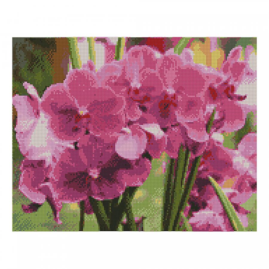Алмазная картина 'Орхидеи' на подрамнике