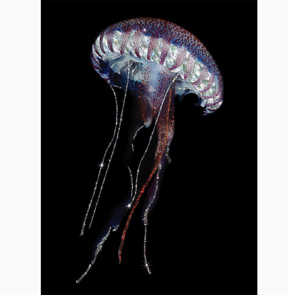 Алмазная мозаика 'Медуза' без рамки