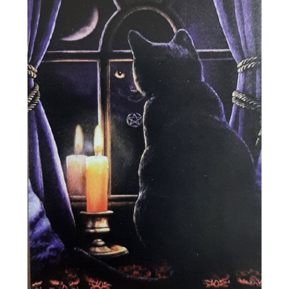 Алмазна мозаїка неонова 'Чорний кіт' без підрамника