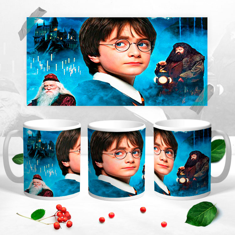 Чашка 'Гарри Поттер и философский камень'