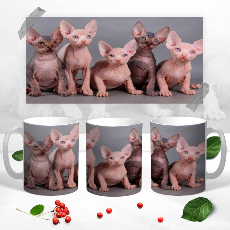 Чашка с 3Д фото котятя Сфинкс