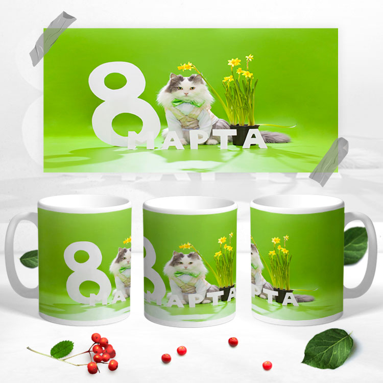 Чашка с 3D рисунком на 8 марта 'Кот с цветами'