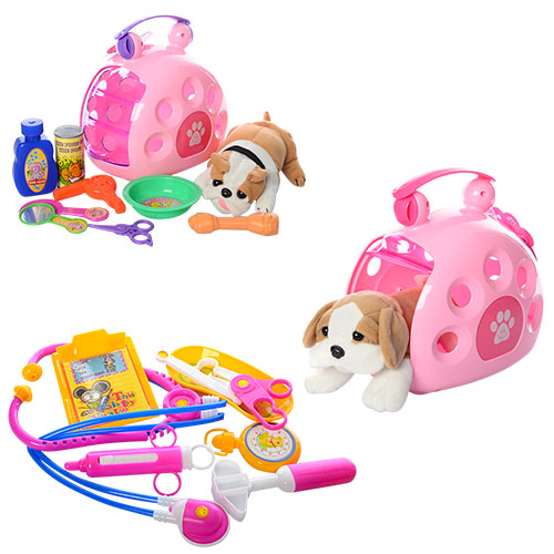 Детский игровой набор с собакой 'Ветеринар'