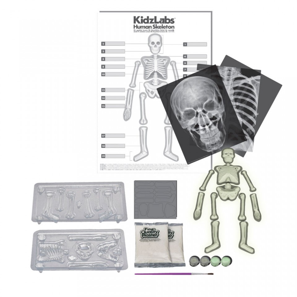 Ігровий набір дитяча лабораторія 'Скелет людини'