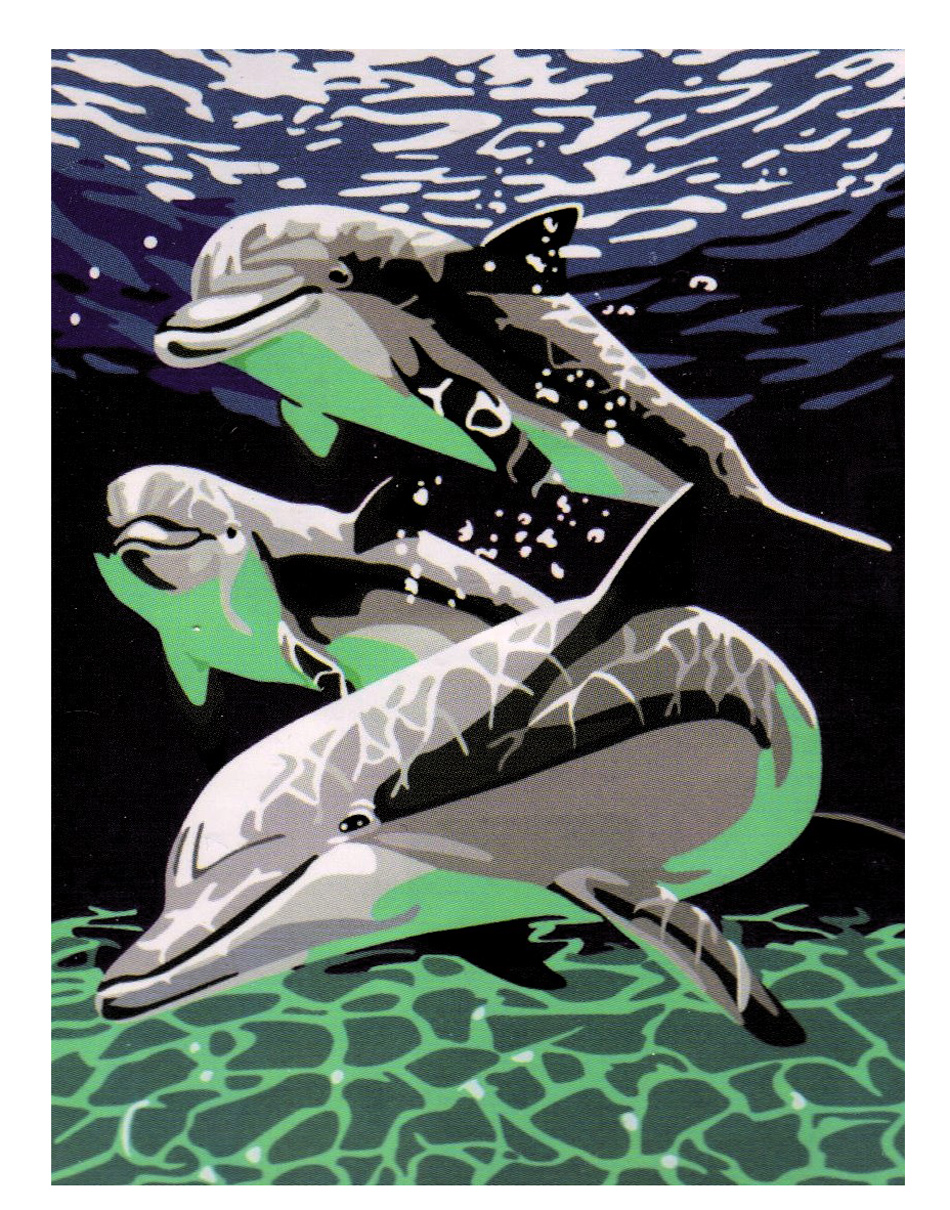 Картина 'Дельфіни' за номерами