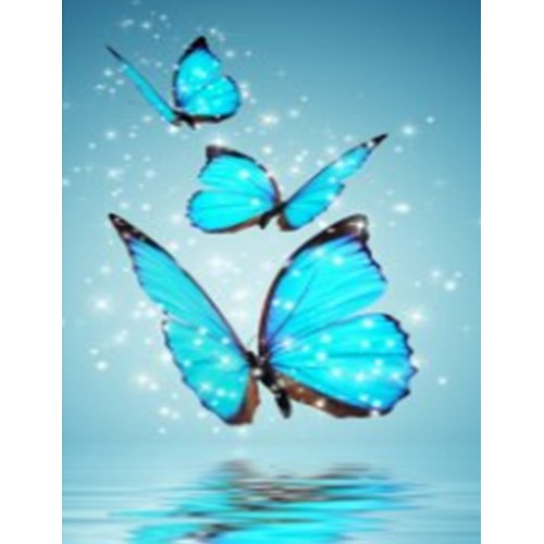 Картина алмазами 'Бабочки голубые' без подрамника