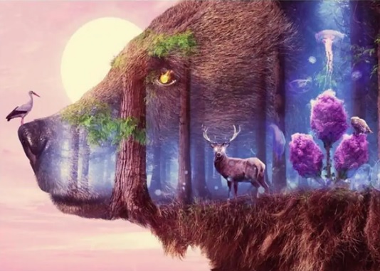 Картина алмазами 'Тваринний світ'