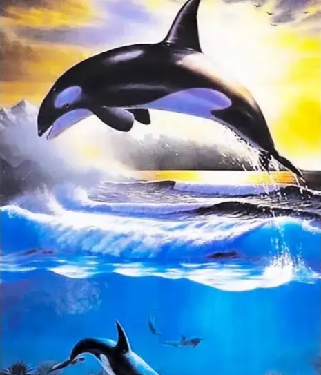 Картина алмазами 'Касатка'