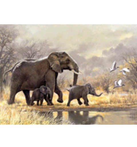 Картина алмазами 'Сім'я слонів'