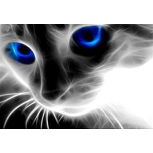 Картина алмазами без підрамника 'Кішка блакитноока'
