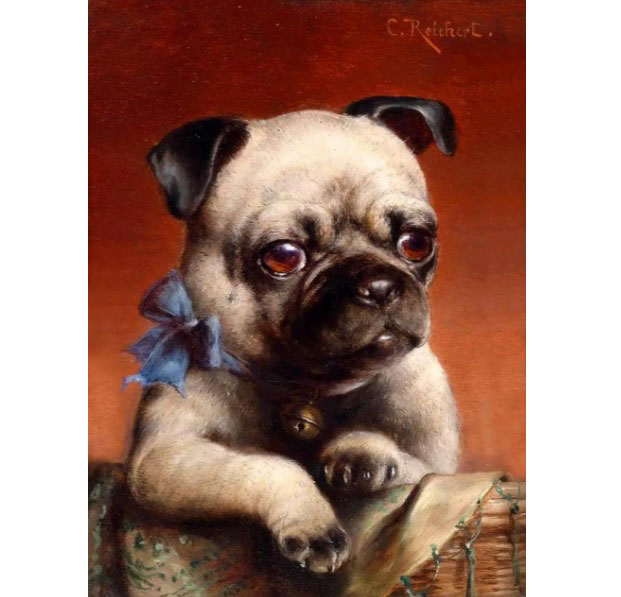 Картина алмазами на подрамнике 'Мопс'