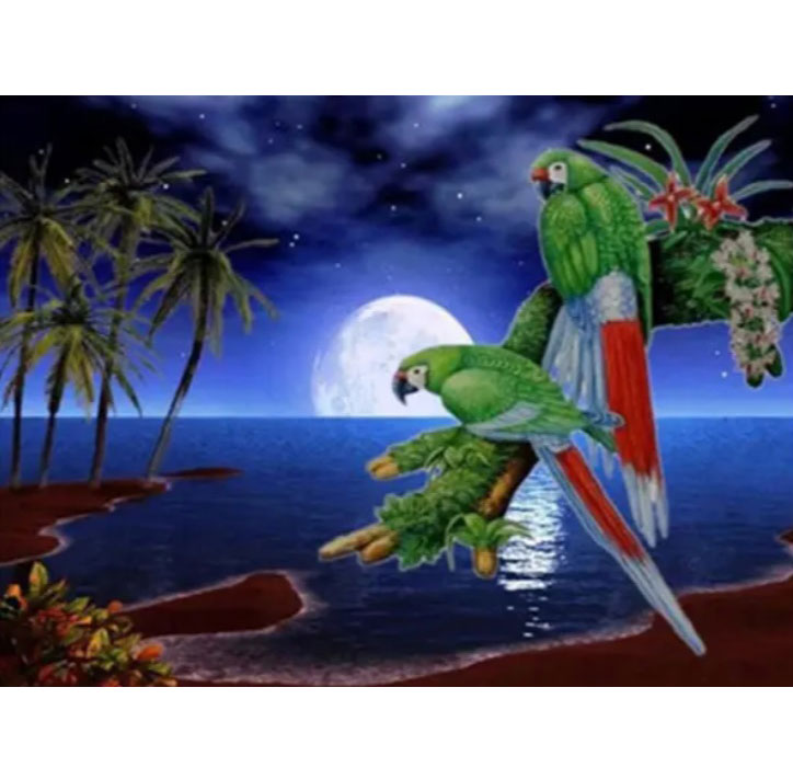 Картина алмазами на подрамнике 'Попугаи'