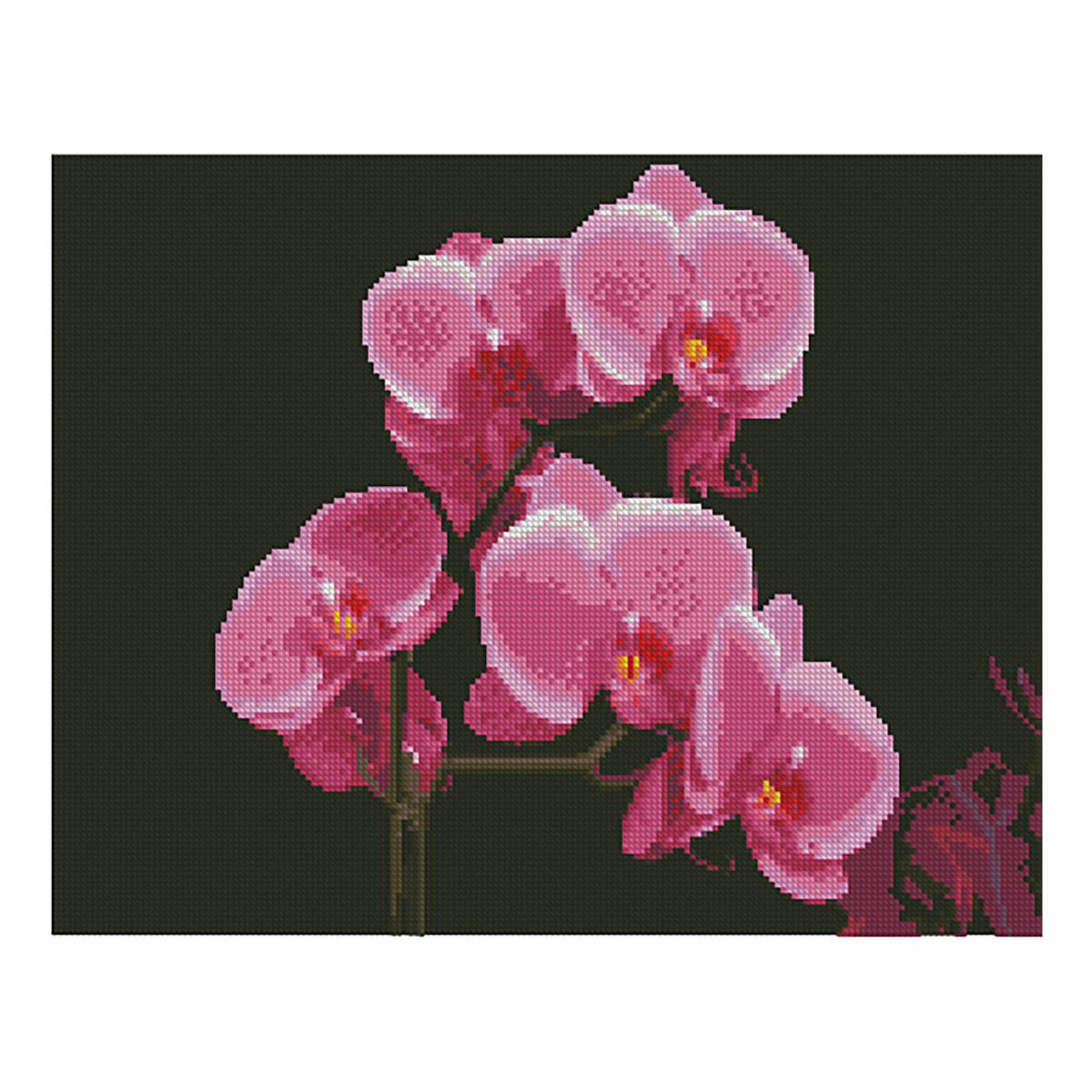 Картина алмазами на підрамнику 'Рожеві орхідеї'