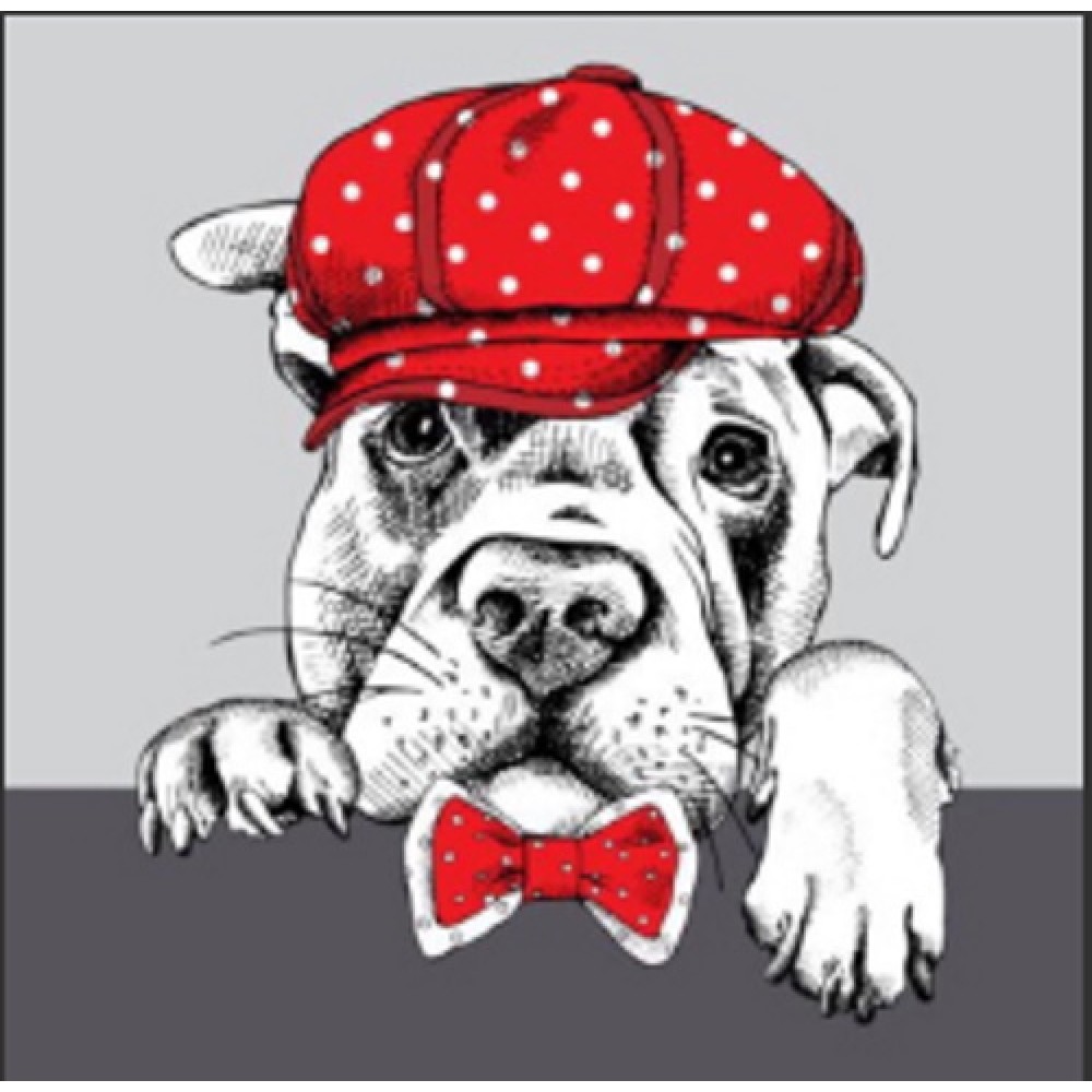 Картина алмазами на подрамнике 'Собака в кепке''