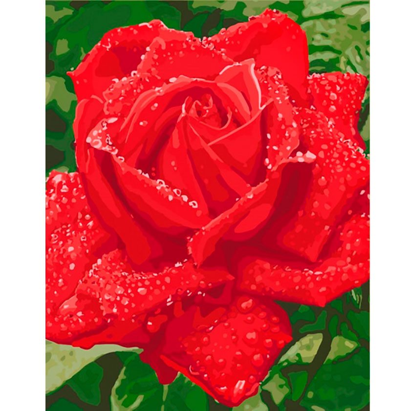 Картина на холсте по номерам 'Нежность красной розы'