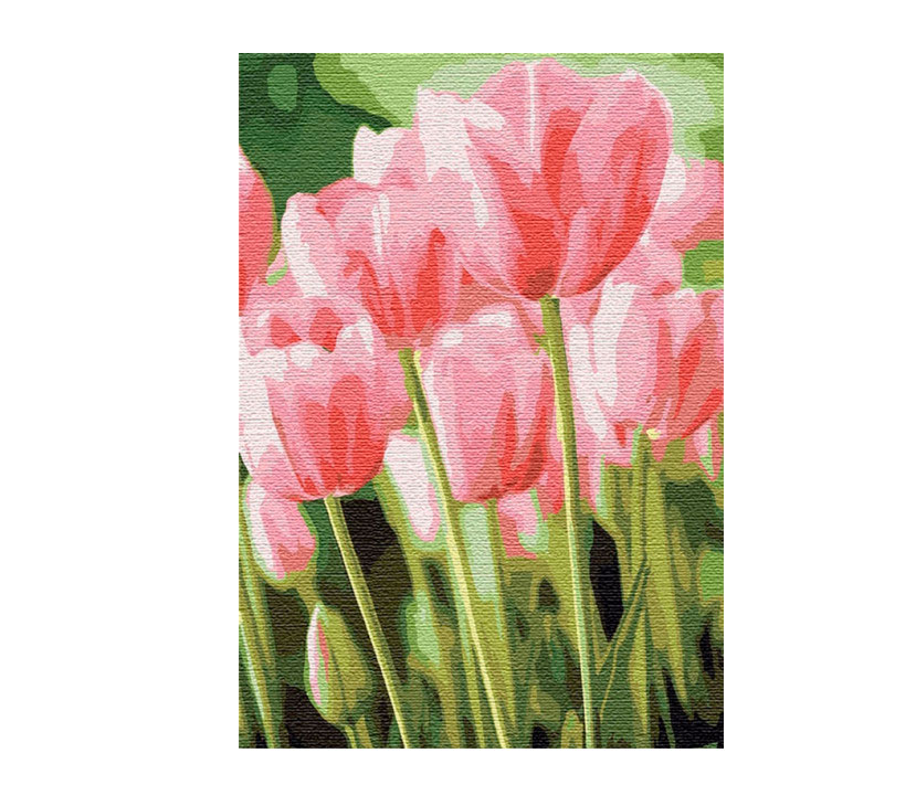 Картина на холсте по номерам 'Весенние тюльпаны'