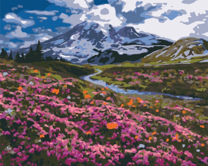 Картина по номерам 'Альпийский луг'
