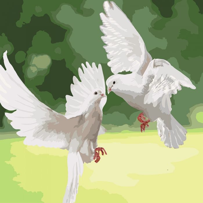 Картина за номерами 'Білосніжні голуби'