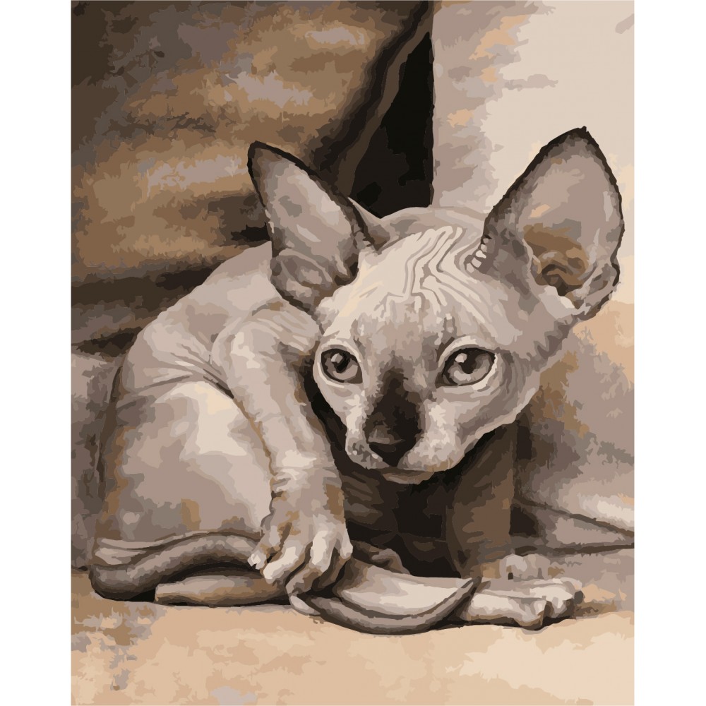 Картина по номерам 'Кошка сфинкс' с лаком