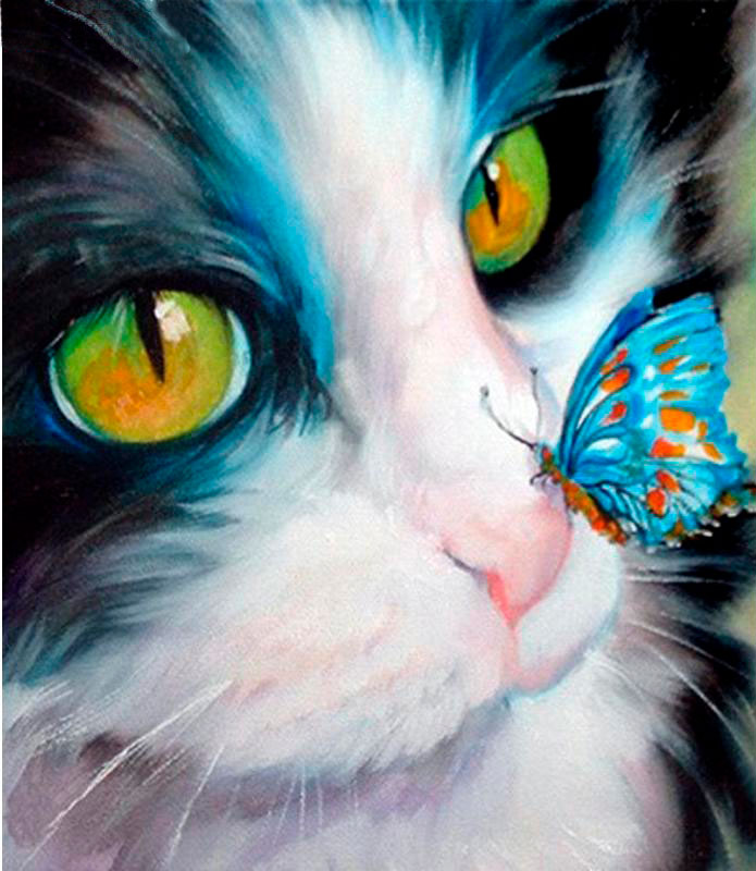 Картина по номерам 'Кот и бабочка' в коробке