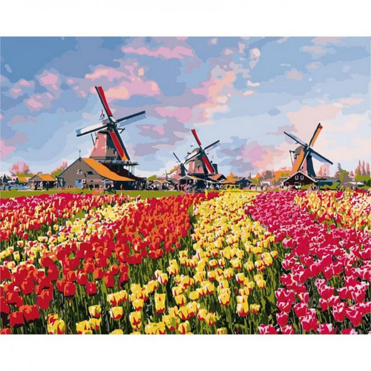 Картина по номерам 'Красочные тюльпаны Голландии'