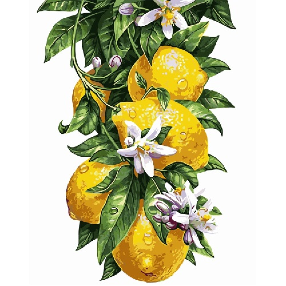Картина по номерам 'Лимоны'
