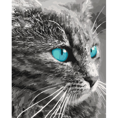 Картина по номерам 'Взгляд кота'